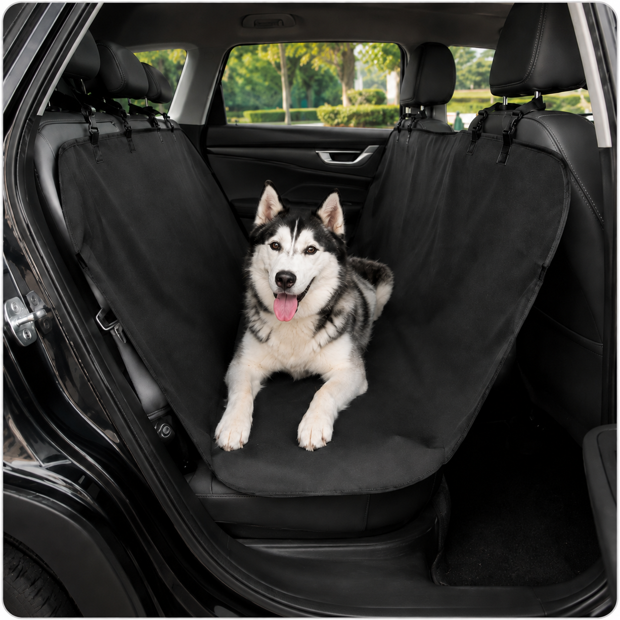 Viaja con tu perro. Protege tu coche.