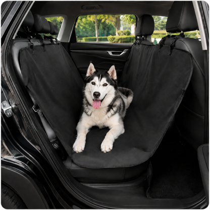 Viaja con tu perro. Protege tu coche.